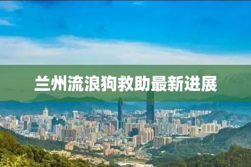 兰州流浪狗救助最新进展