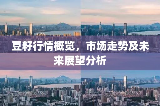 豆籽行情概览，市场走势及未来展望分析