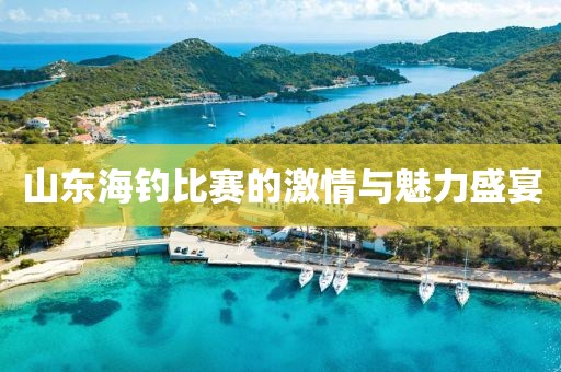 齐鲁青未了 第10页