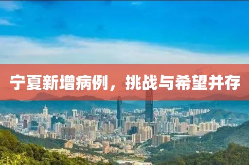 宁夏新增病例，挑战与希望并存
