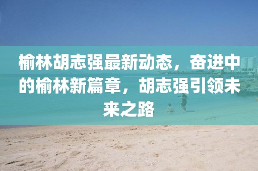 榆林胡志强最新动态，奋进中的榆林新篇章，胡志强引领未来之路