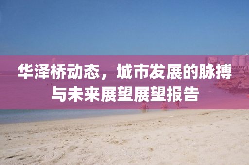 海上的孤盗 第11页