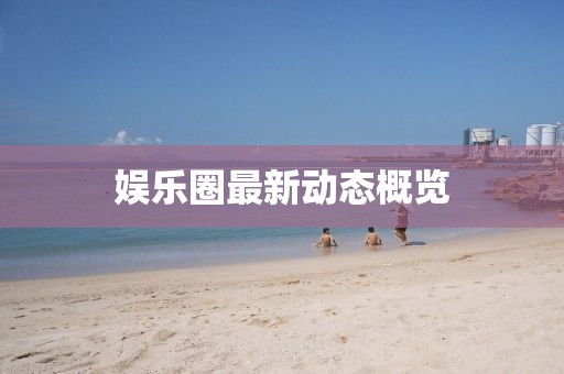 娱乐圈最新动态概览