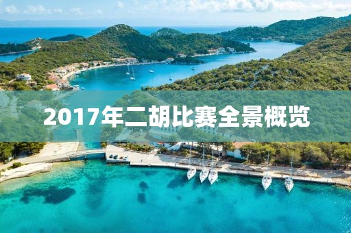 2017年二胡比赛全景概览