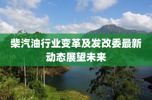 柴汽油行业变革及发改委最新动态展望未来