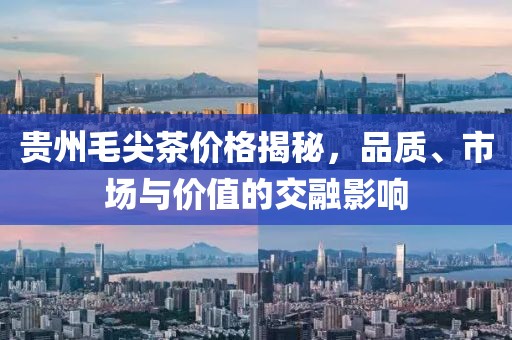 贵州毛尖茶价格揭秘，品质、市场与价值的交融影响