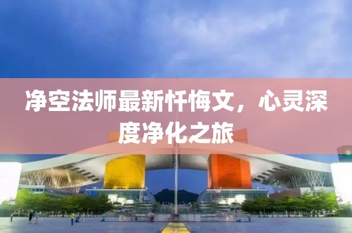 空自忆 第12页