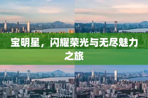 宝明星，闪耀荣光与无尽魅力之旅