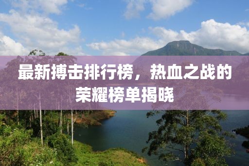 最新搏击排行榜，热血之战的荣耀榜单揭晓