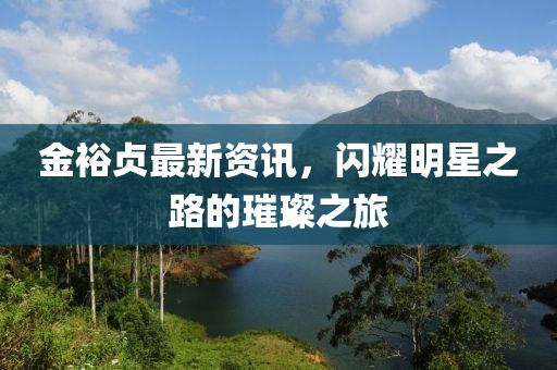 金裕贞最新资讯，闪耀明星之路的璀璨之旅