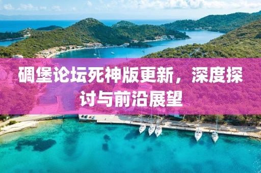 碉堡论坛死神版更新，深度探讨与前沿展望