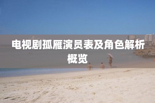 电视剧孤雁演员表及角色解析概览