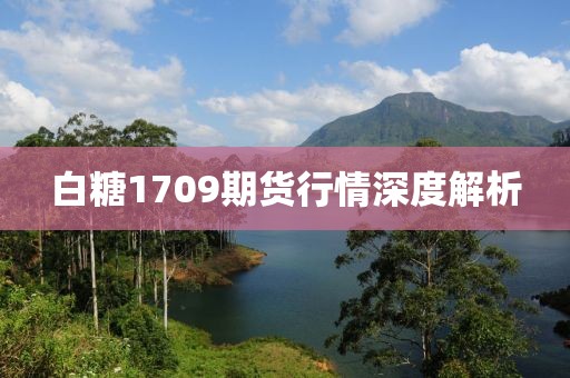白糖1709期货行情深度解析