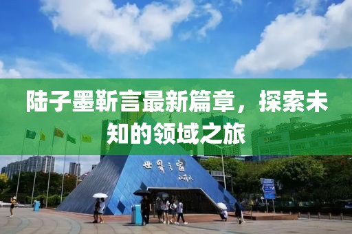 陆子墨靳言最新篇章，探索未知的领域之旅