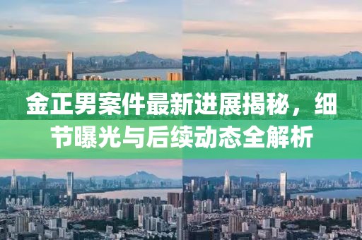 金正男案件最新进展揭秘，细节曝光与后续动态全解析
