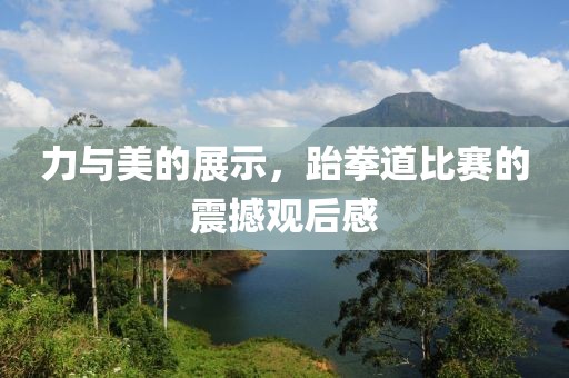 力与美的展示，跆拳道比赛的震撼观后感
