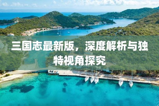 三国志最新版，深度解析与独特视角探究