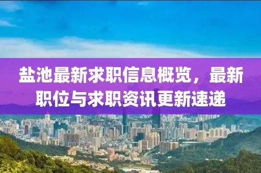 盐池最新求职信息概览，最新职位与求职资讯更新速递