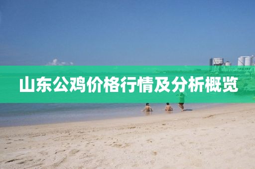 山东公鸡价格行情及分析概览
