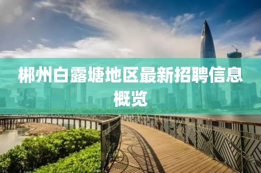 郴州白露塘地区最新招聘信息概览