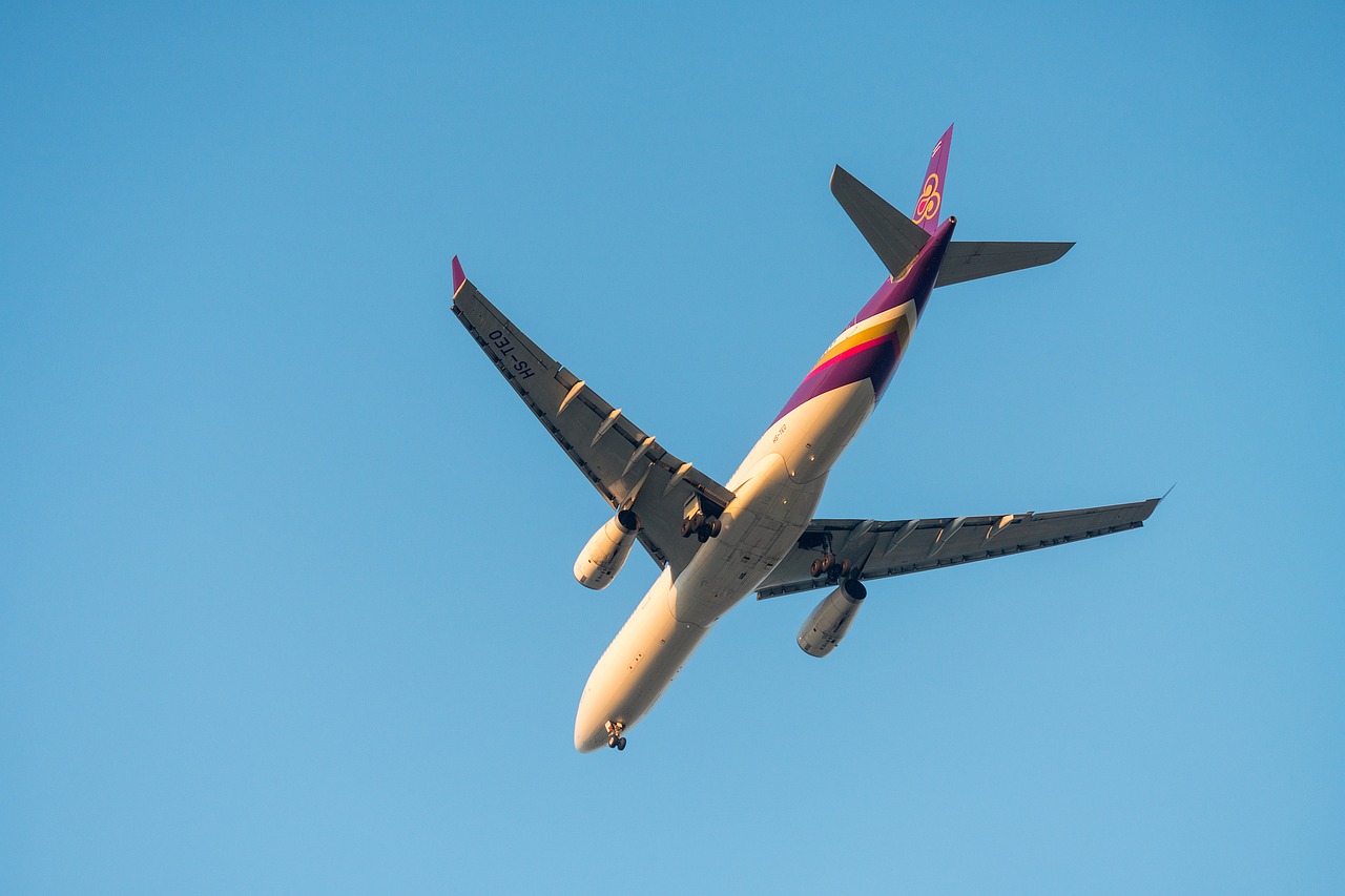 阆中机场规划更新，未来航空枢纽战略布局与可持续发展探讨