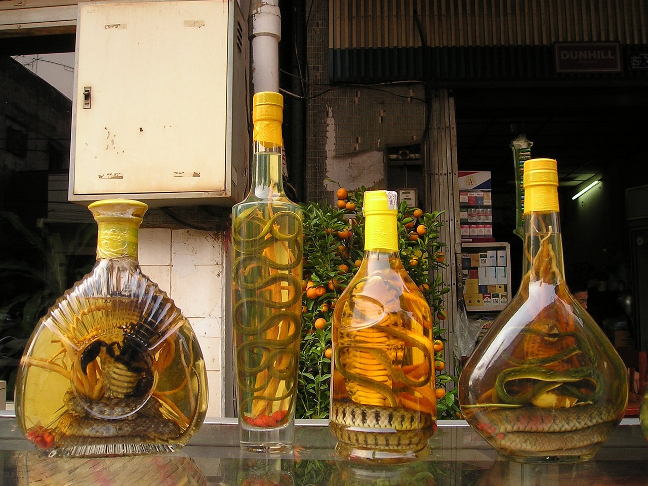 洮儿河30年陈酿，岁月沉淀的价值与价格探讨