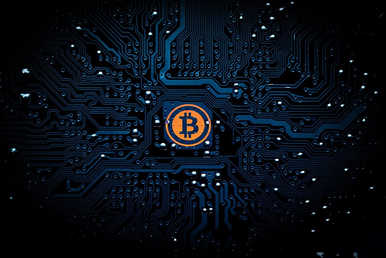 朴树最新行情，音乐与商业的交融发展之路