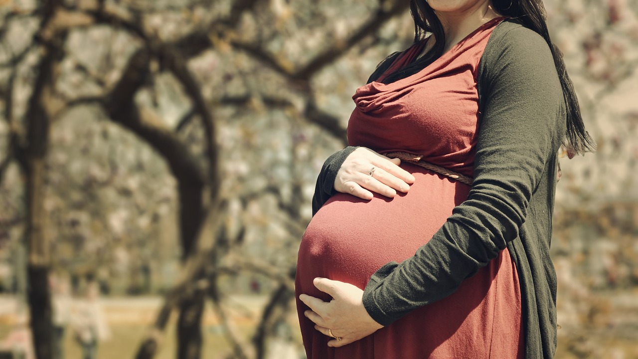 最新孕妇资源链接大揭秘，全方位关注孕期健康与幸福