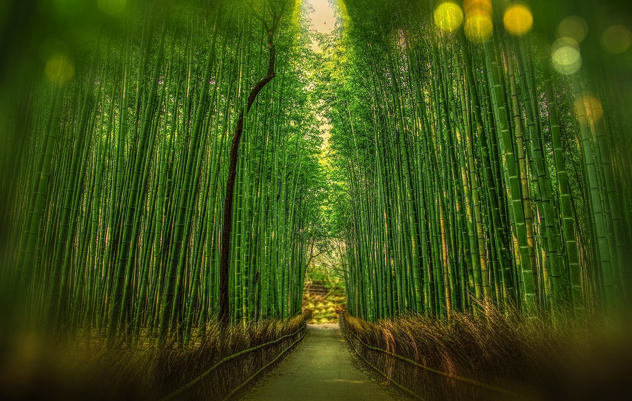 宫崎骏经典动画，免费观看之旅的魅力探索