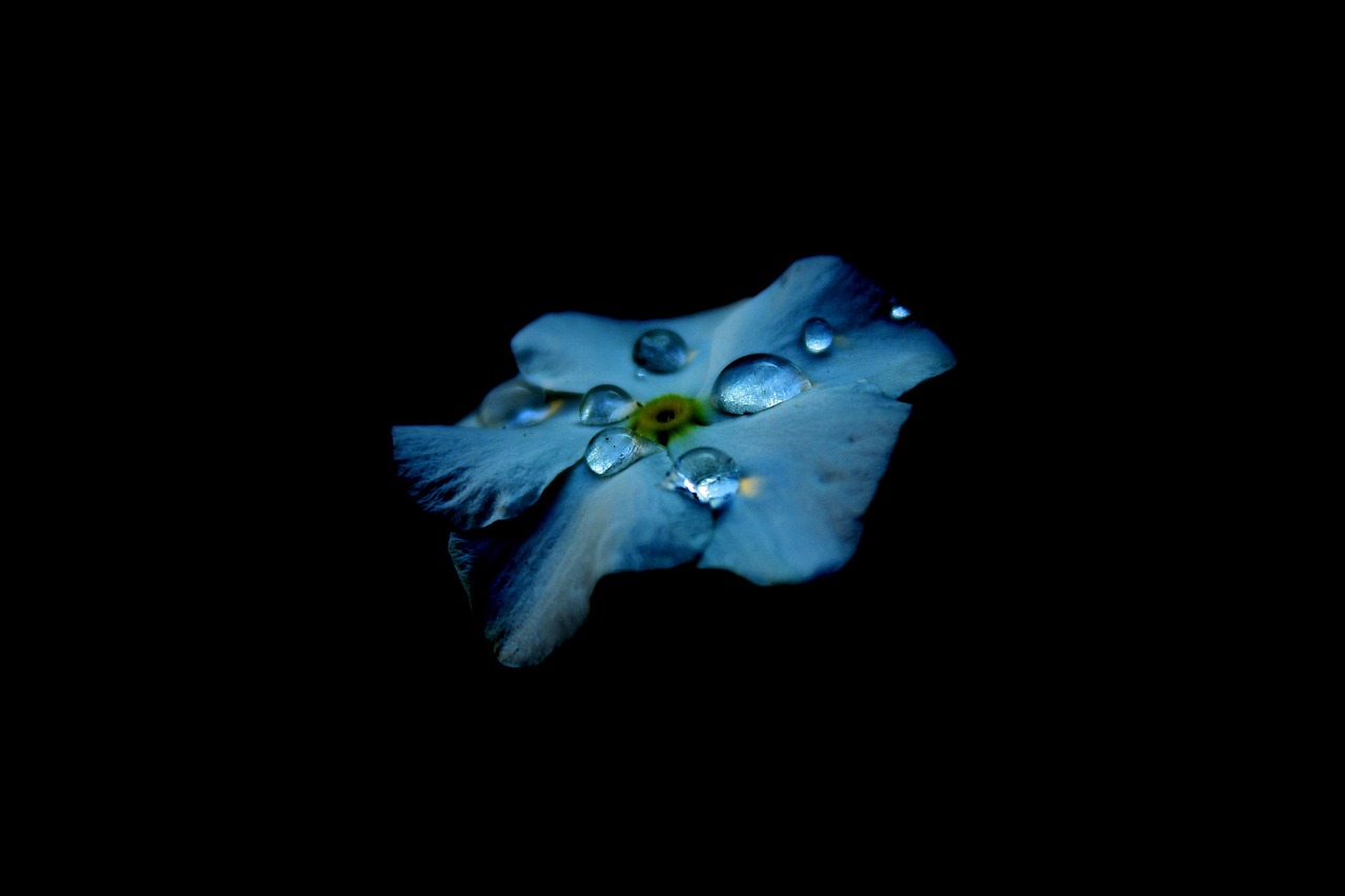 雨不眠的下 第8页