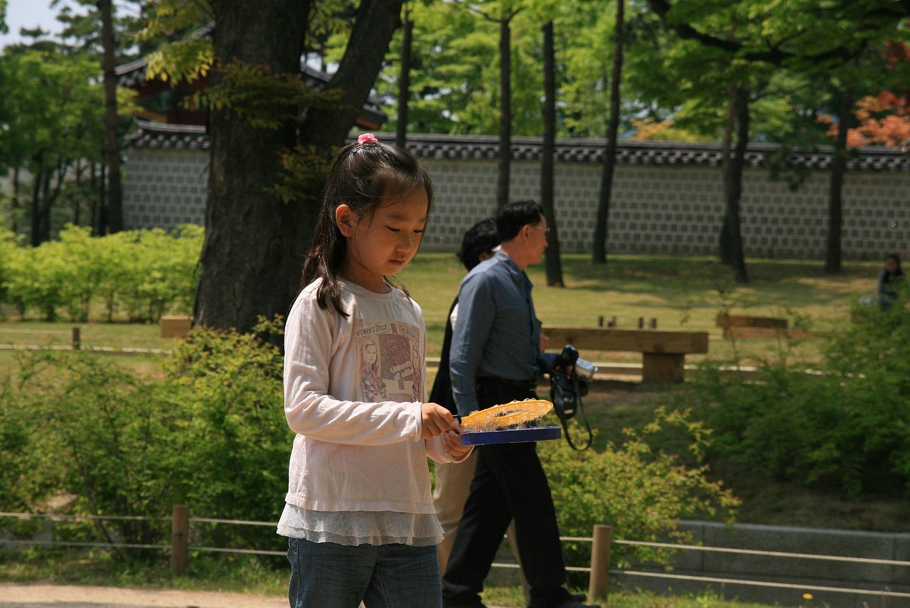 少年包青天2演员表及角色深度解析，探寻青春正义之路