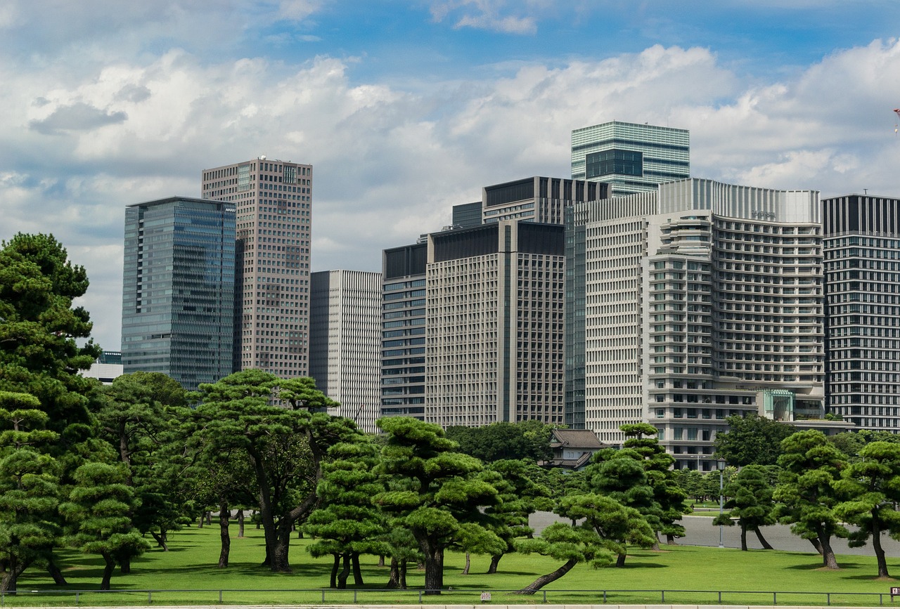 最新租房趋势及影响，探索现代城市居住新路径