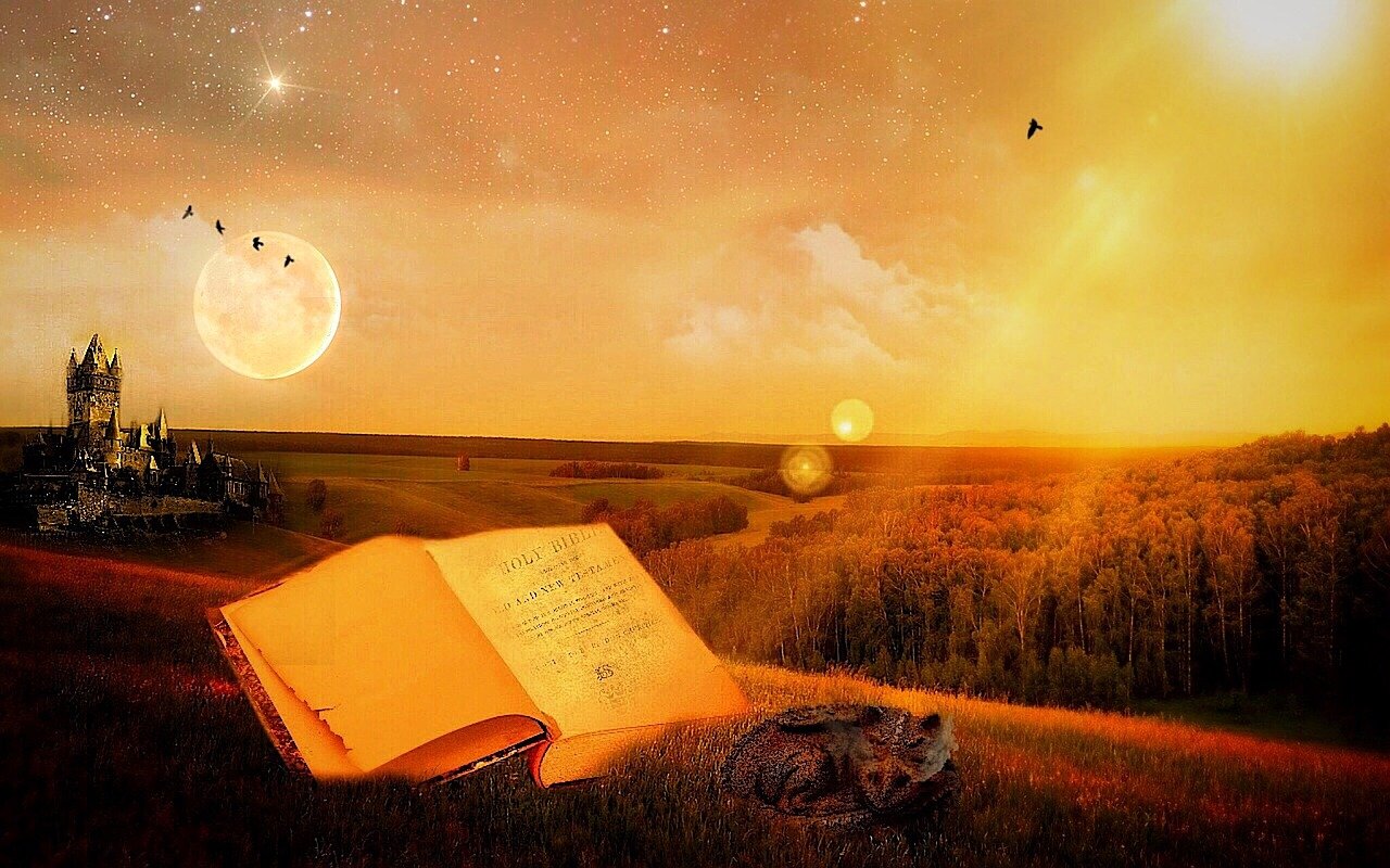 明星签字背后的故事与深远意义