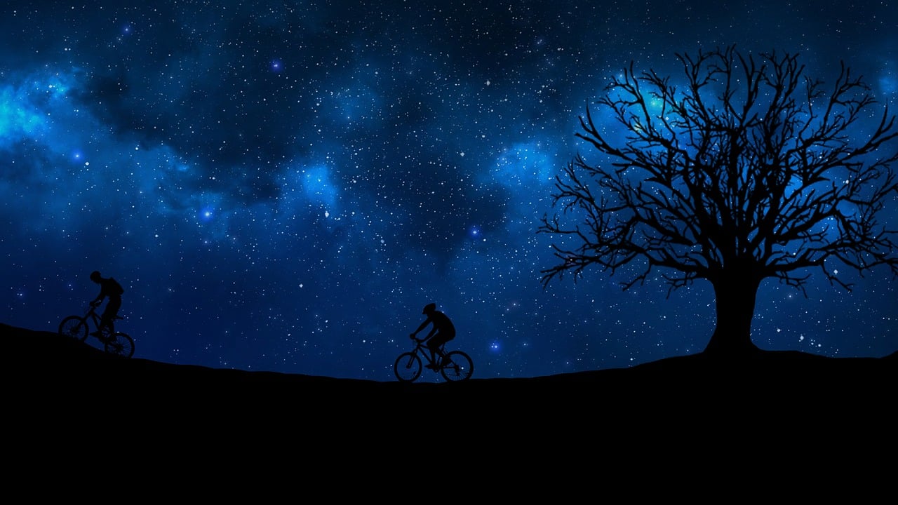 宜春明星，闪耀之光的璀璨之星