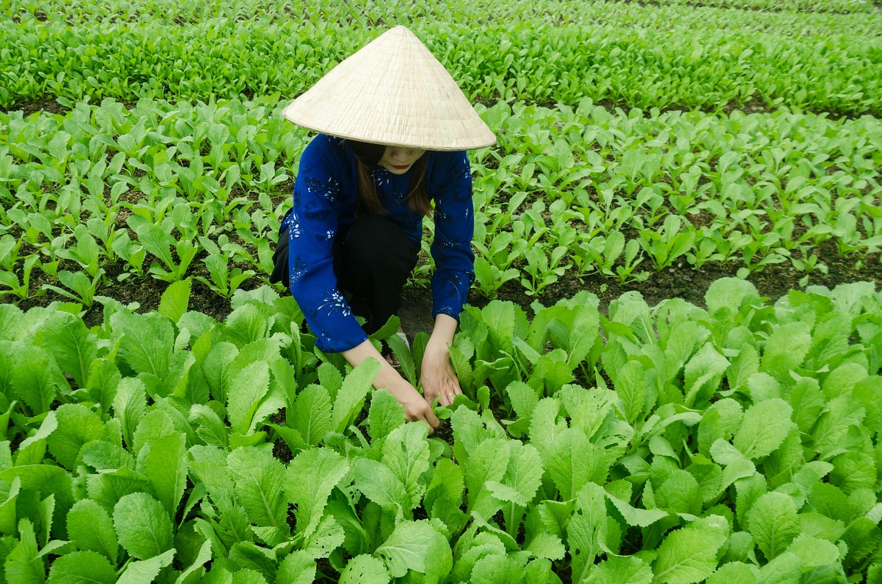 山东企业改制最新进展与动态更新