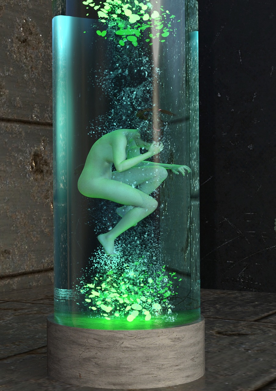 最新完结小说，奇幻世界的未知探索