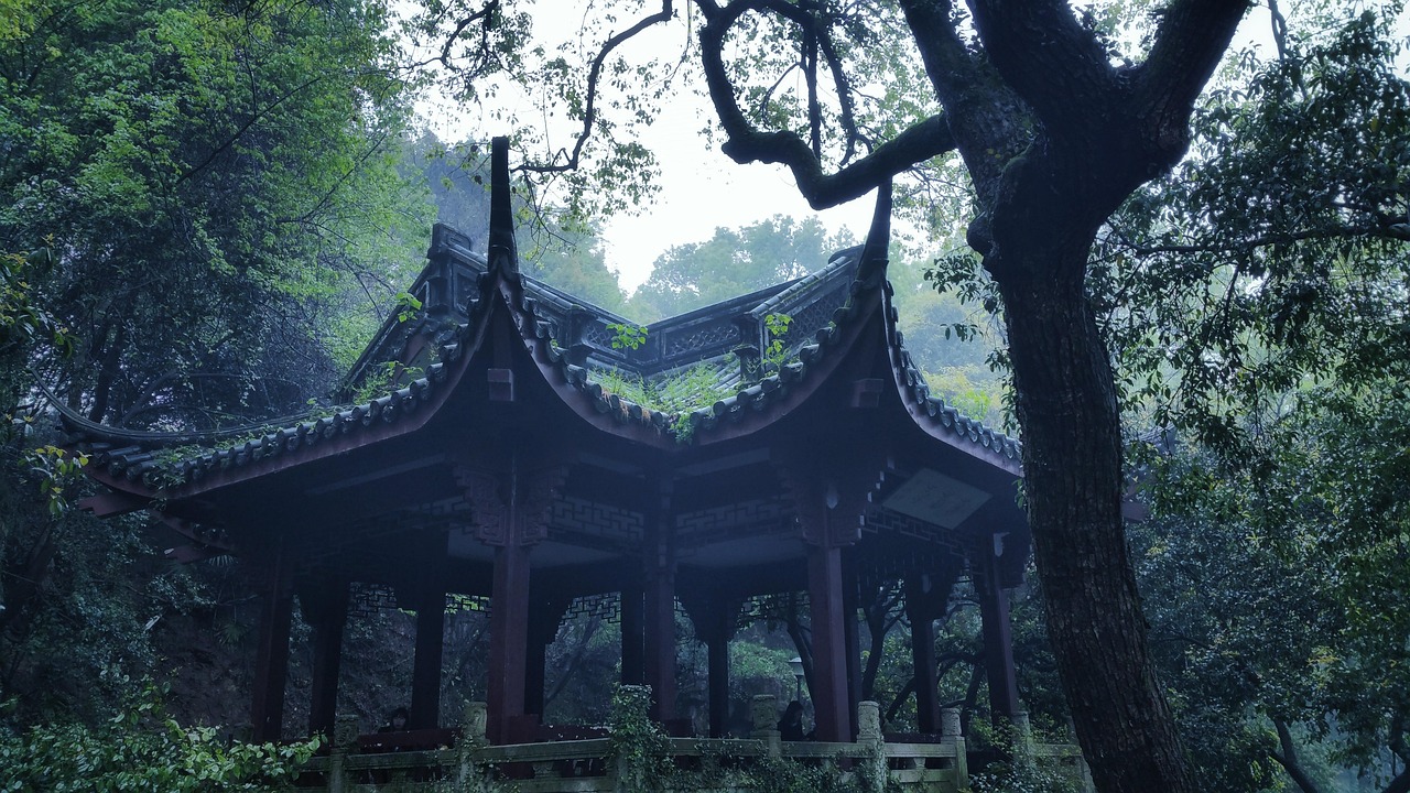 古诗词朗诵比赛，传承文化之美，展现诗词魅力