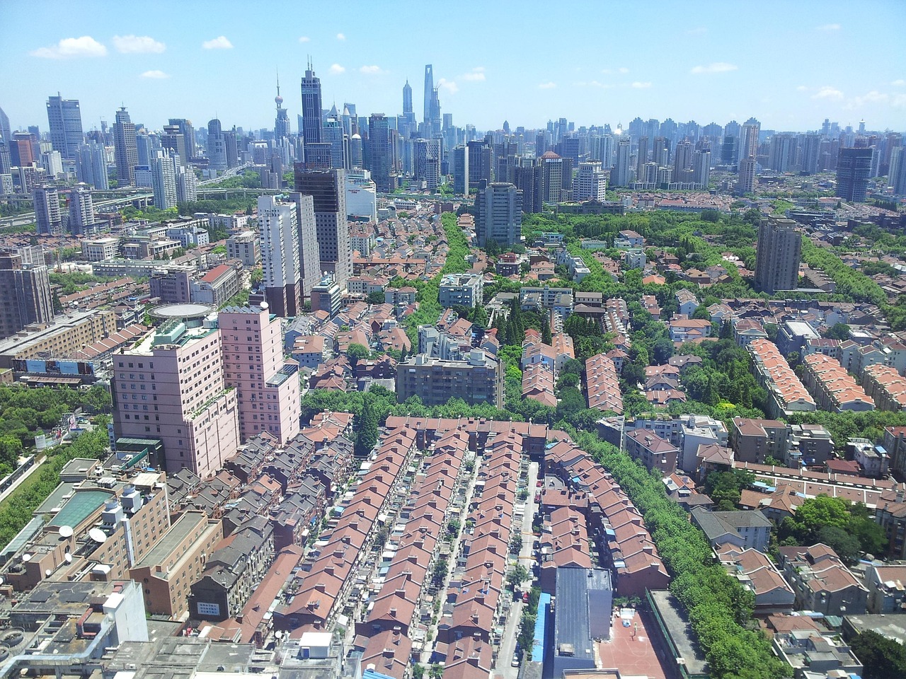 上海最新气温信息，城市气候变化及其影响