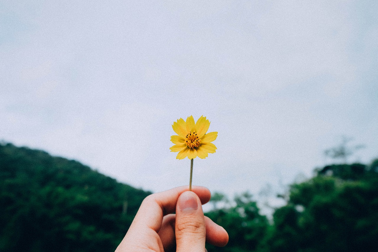 我在等你，三行情书的心声