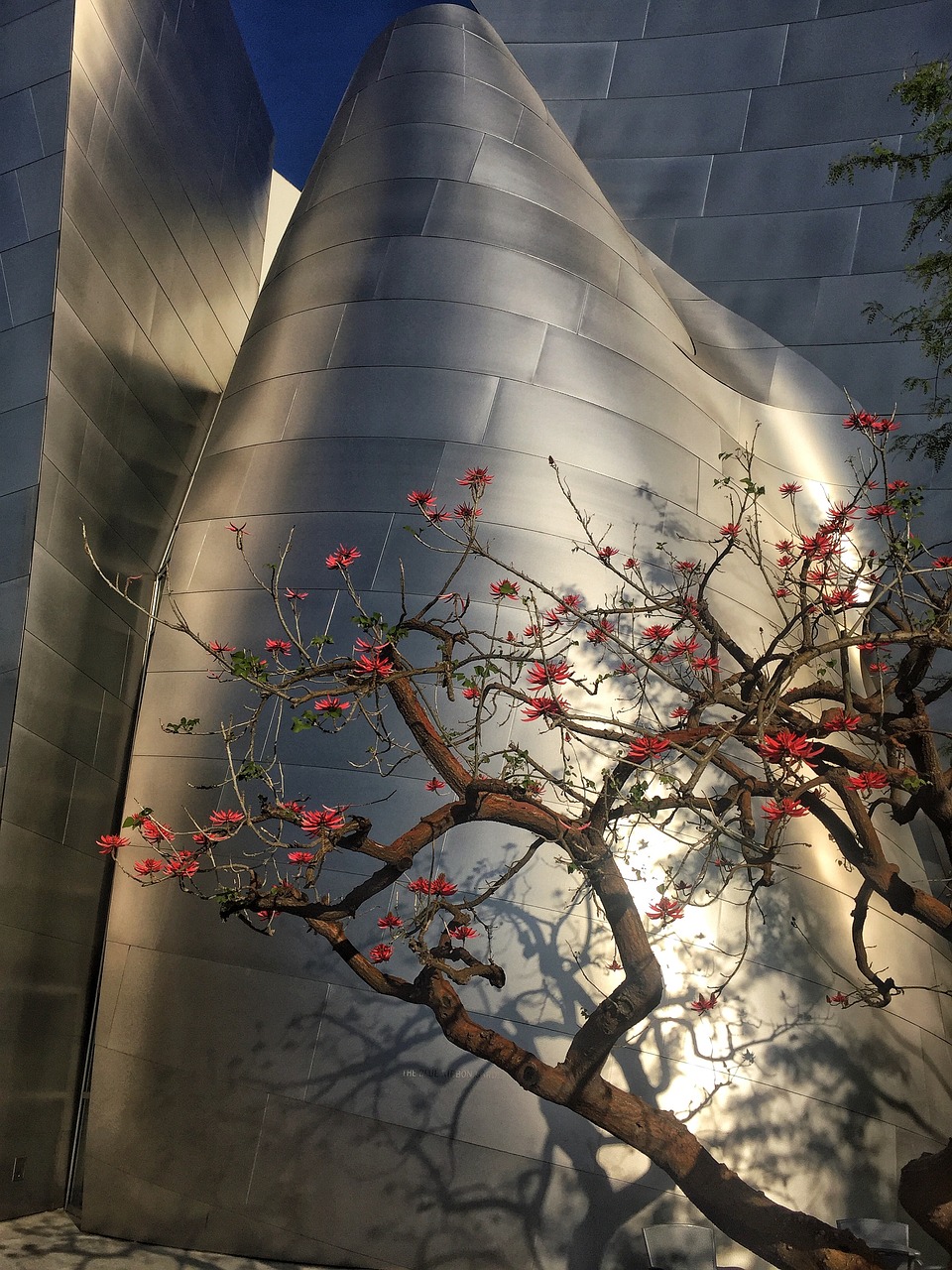 嵊州和悦广场最新动态揭秘，城市新中心的崛起与未来展望