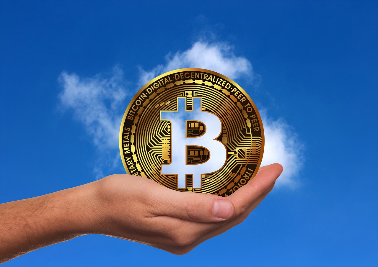 土元价格最新行情及分析