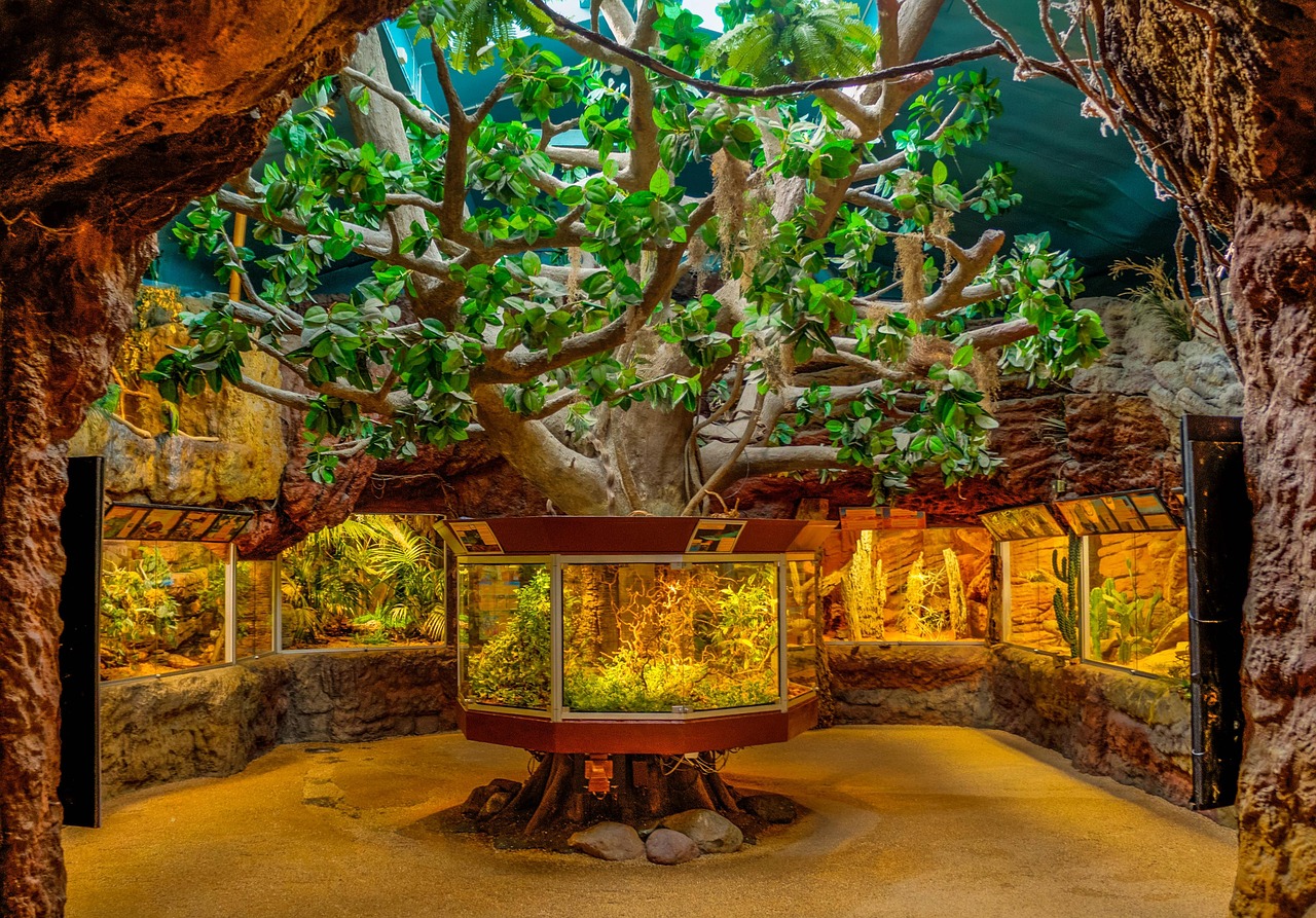 最新鱼缸新款图片，重塑家居水族世界风采