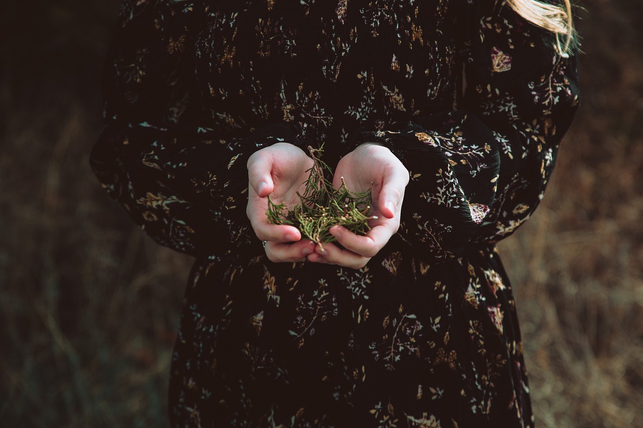 姐妹花电影，展现情感纽带与女性力量的光影之作