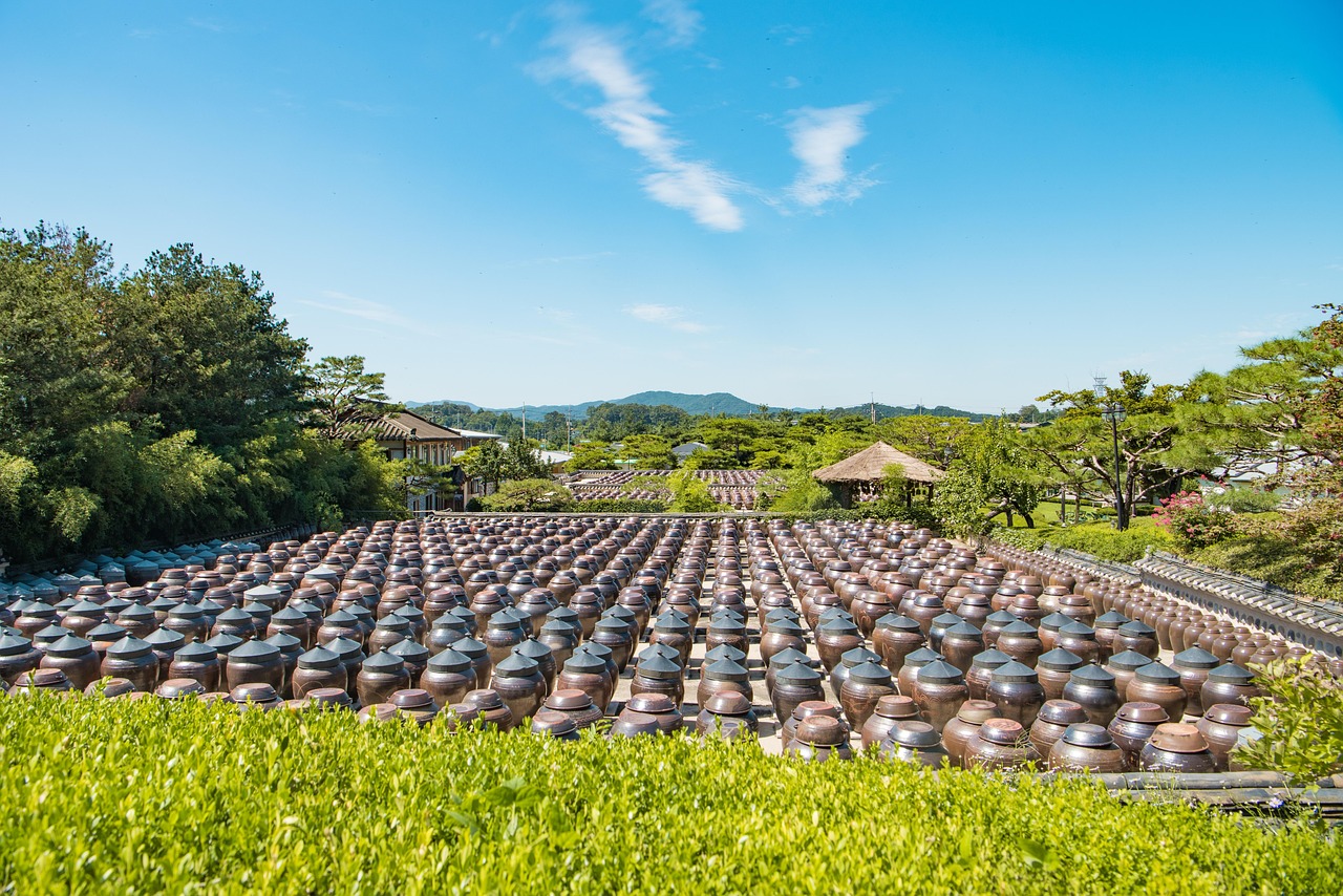 养鸡上市之路，从农场到市场的成功探索