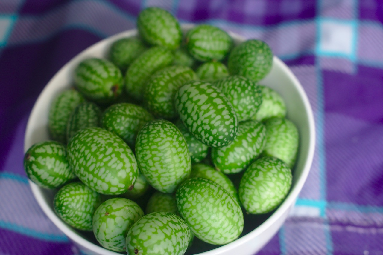 牛蒡茶价格解析，一斤多少钱？