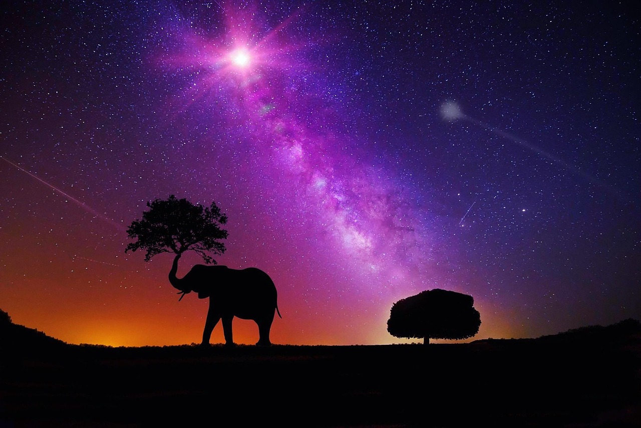 星空下的艺术之旅，天空明星蜡像馆探秘