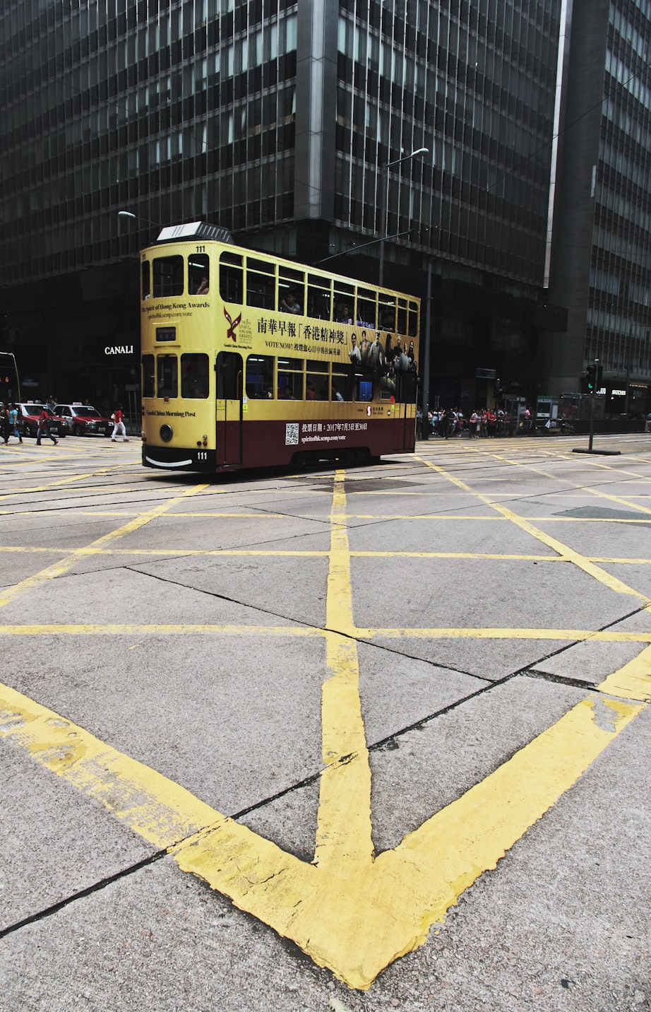 香港知乎最新动态概览与解析